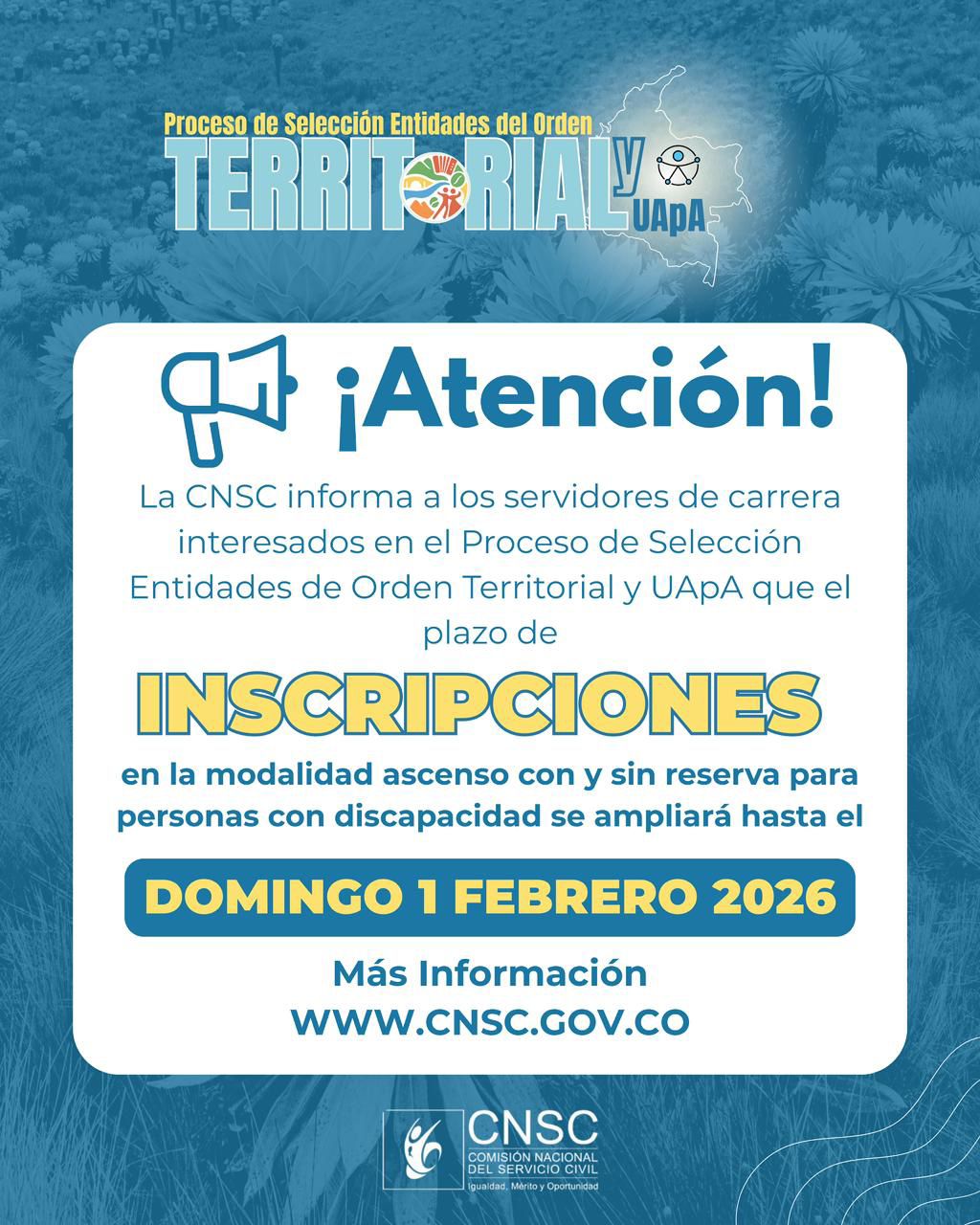 124906-whatsapp image 2026-01-29 at 11.09.30 am